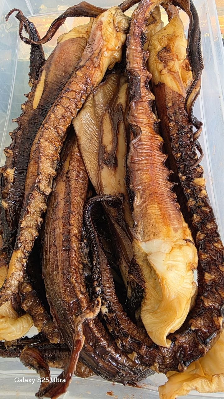 Щупальцы кальмара